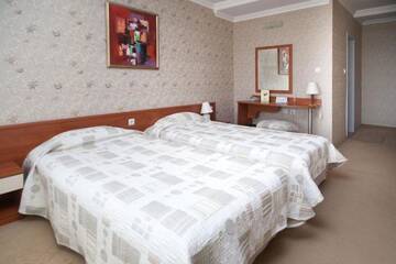 Фото номера Стандартный двухместный номер с 2 отдельными кроватями Отель Hissar Spa Hotel г. Хисаря 9